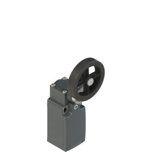 FR 954-AR26