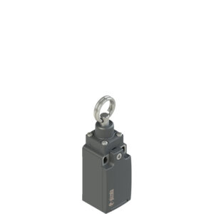 FR 976