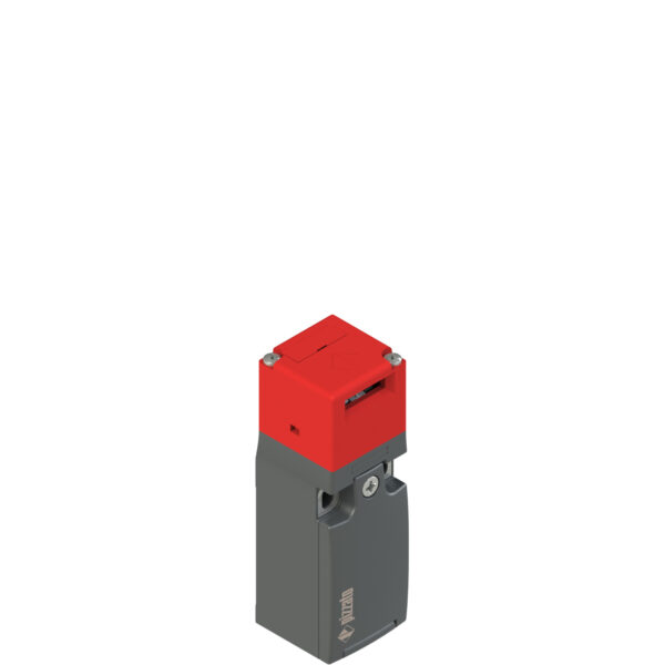 FR 993-K21