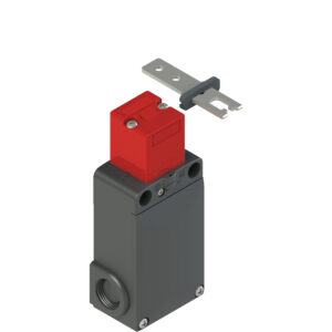 FS 3096D230-FK21
