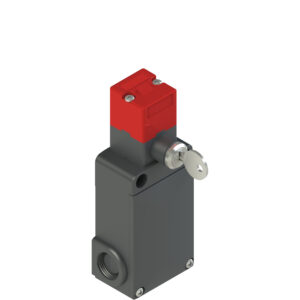 FS 3098D024-K21